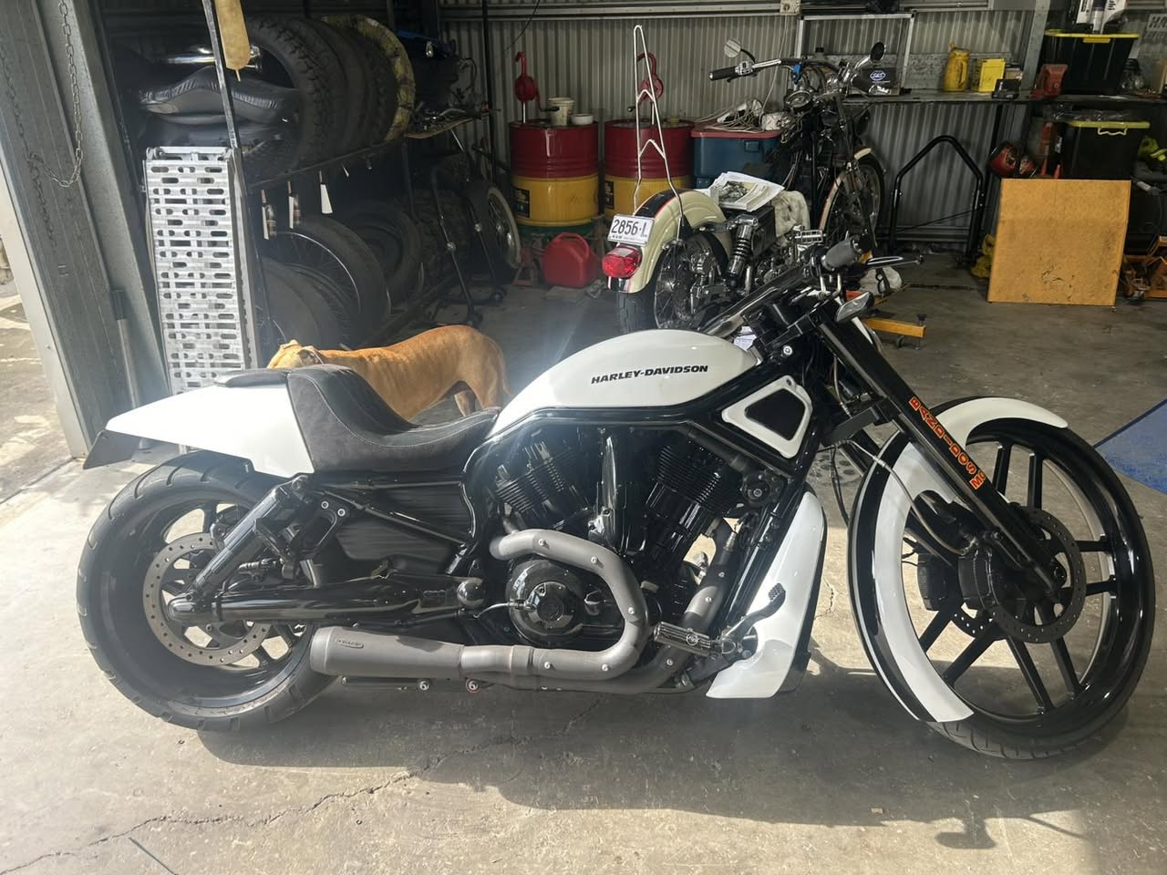 FOR SALE  custom v rod 
42k Ono